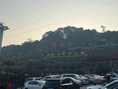 -枇杷园食为鲜火锅(南山店)