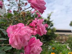 -广州市紫泥堂文化创意园景区