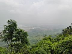 -铁山坪森林公园