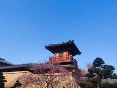 -习家池
