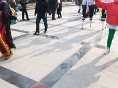 -石家庄市植物园