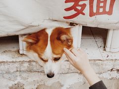 -小梁哥云吞面(黄贝岭店)