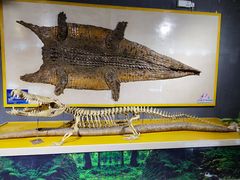 -广州长隆飞鸟乐园