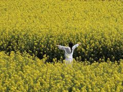 -中国天府农业博览园