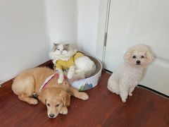 -金陵大勇烧烤·小龙虾·海鲜大咖(竹山路店)
