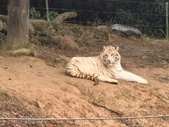 -杭州野生动物世界