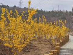 -白水寺森林公园