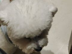 -懒鹿智能电竞酒店(蜀汉路店)