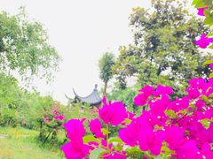 -大渡口区义渡公园
