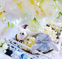 -卡卡喜糖伴手礼·商务礼宝宝礼·婚礼用品