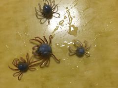 -北海金海湾红树林生态旅游区