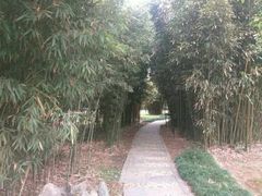 -堤角公园