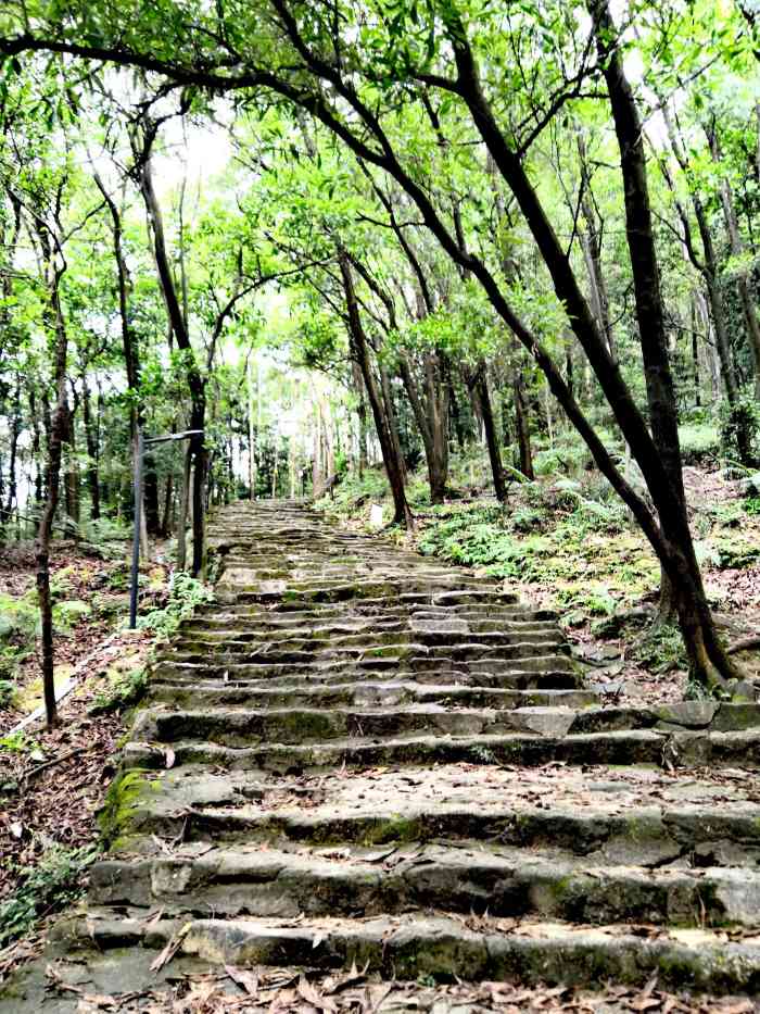 盘古王公园-"位置:广东省广州市花都区 盘古北路 这."-大众点评移动版