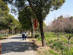 -上海海湾国家森林公园