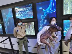 -侏罗纪世界电影特展(广州站)