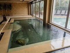 -苏州湾·王焰温泉