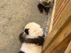 -茅山东方盐湖城景区