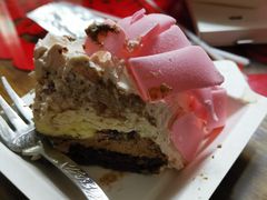 -BLACKSWAN黑天鹅(环球店)