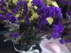 -比格比萨自助(花园路店)