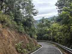 -广州白江湖森林公园