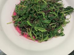 炒苋菜-蝶园·装修中(BFC外滩金融中心店)