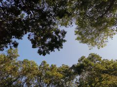 -广州市白云山风景名胜区