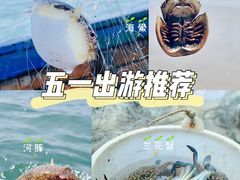 -万尾金滩