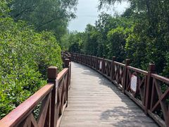 -大亚湾红树林城市湿地公园