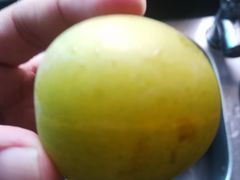 -呼吸森林·生态农庄农家乐私房菜