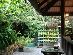 -卷心菜和避孕套餐厅(Pattaya)