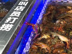 -盒马鲜生(枣园路店)