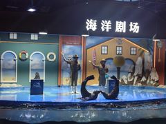 -重庆欢乐海底世界