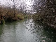 -桤木河湿地公园