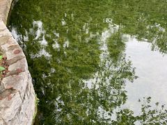 -晓港公园