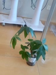-ROYEA茹彦祛痘·问题肌肤修护中心