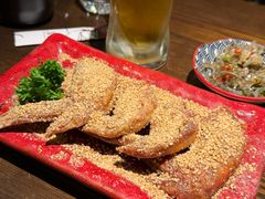 -鸟屯(三里屯店)