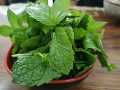 -攀枝花·任德琼·盐边羊肉米线