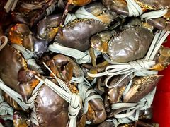 -老财炒饭·熟地蟹·冬瓜蟹