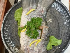 -渔惑·中山脆肉鲩火锅(仁恒梦店)