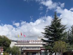 -西藏自治区图书馆