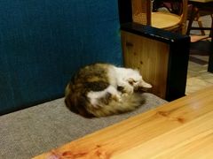 -山色西餐·柴火烤披萨