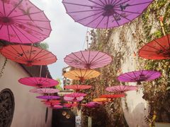 -鱼食饭稻·苏浙土菜17年老馆子(平江路店)