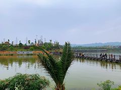 -枫香湖儿童公园