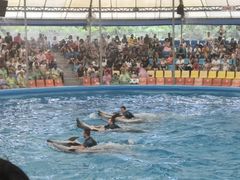 -尼莫海豚馆