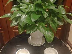 -诺筵汤品·菌汤火锅(南河坝店)