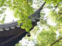 -西园寺