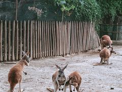 -郑州市动物园