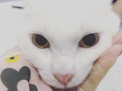 -佳雯宠物医院(金华南路分院)