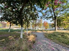 -怡海公园(桂城街道)