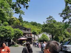 -龙井村